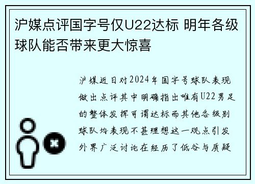 沪媒点评国字号仅U22达标 明年各级球队能否带来更大惊喜 沪媒点评国字号仅U22达标 明年各级球队能否带来更大惊喜